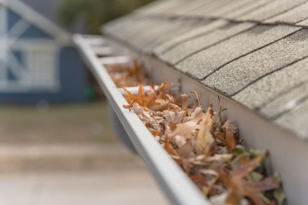 Leaf Barrier Installation in Circleville